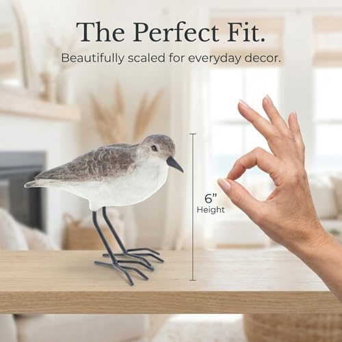 The Bridge Collection Realistic Shorebird Figure - Sandpiper Bird Statue - Image 3