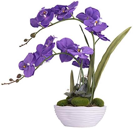 Large Silk Potted Orchid Arrangement in Oval Ribbed Ceramic Pot, Purple by YSZL