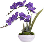 Large Silk Potted Orchid Arrangement in Oval Ribbed Ceramic Pot, Purple by YSZL