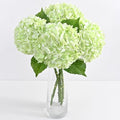 4Pcs Real Touch Hydrangea Artificial Flowers, 21" Fake Flowers, Light Green by Yastouay