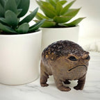 MOLMH Weird Queer Grumpy Frog Toad Statue Ugly Angry Outdoor Garden Yard Decor Statue Fun Novelty Home Office Decor Sculpture Unique Gift - Image 2