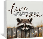 Raccoon Sign - Live Like Someone Left The Gate Open Wooden Box Signs, Raccoon Decor, Farmhouse Trash Panda Wood Decoration Home Decor For Desk Table Shelf 8x8 Inch Decorative Signs & Plaques by Nitelat
