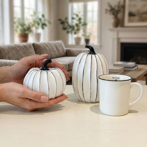FESTGLOX White and Black Halloween Pumpkin Decor, Small Resin Pumpkin Set - Image 2