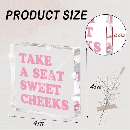 Take a Seat Sweet Cheeks Pink Acrylic Wall Decal, 4x4 Inch Fun Bathroom Decor, Quirky Desk Sign, Retro Humor Print for Girls Bedroom, Dorm and Gag Gift - Image 2
