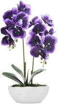 Large Artificial Orchid Arrangement in Oval Ribbed Ceramic Pot, Deep Purple by YSZL