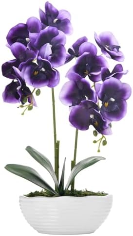 Large Artificial Orchid Arrangement in Oval Ribbed Ceramic Pot, Deep Purple by YSZL