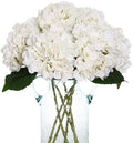 Kimura's Cabin 6pcs White Hydrangea Artificial Flowers Silk Fake Flowers by WeddingPartyArrangementBouquetsDecorationArtificialFlowers