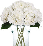 Kimura's Cabin 6pcs White Hydrangea Artificial Flowers Silk Fake Flowers by WeddingPartyArrangementBouquetsDecorationArtificialFlowers