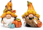 Hodao Fall Decorations for Home Resin Thanksgiving Gnome Figurines 2 Pcs by Hodao