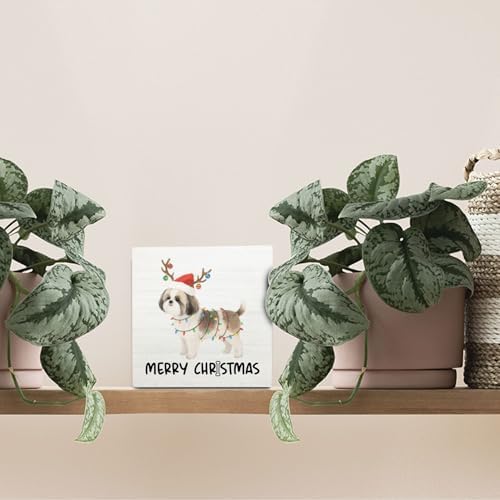 Shih Tzu Merry Christmas Wooden Box Sign Desk Decor, Shih Tzu Gifts, Christmas Dog Wood Block Sign for Home Bedroom Office Desk Table Shelf Wall Decorations, 5x5 Inch - Image 3