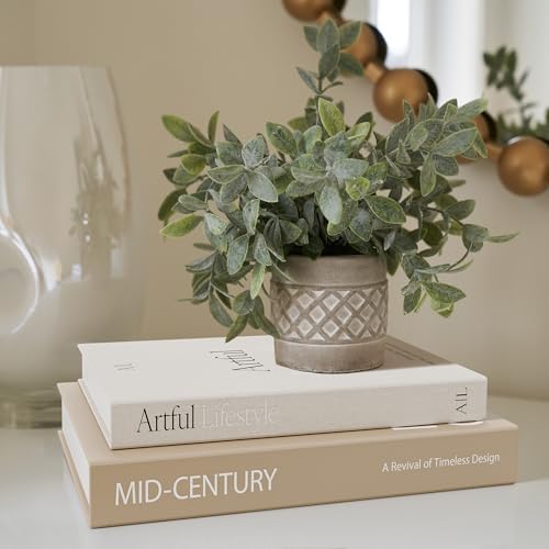 Aesthetic Decorative Books Set of 2 - Stylish Boxes for Coffee Table Decor - Image 4