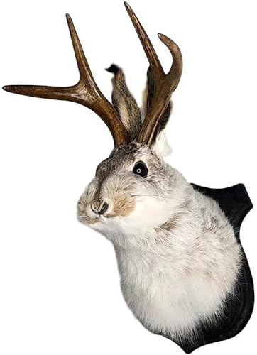 HSOSK Jackalope Mount, Jackalope Taxidermy, Deer Head Wall Mount, Resin Deer Head Animal Wall Art, for Home Wall Decoration by HSOSK