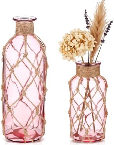 Chuangdi Set of 2 Coastal Glass Flower Vase with Boho Rope, Pink by Chuangdi