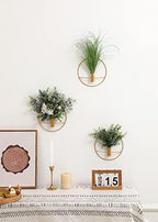 Pretty Jolly Boho Eucalyptus Wall Decor Gold Metal Wall-Mounted Art - Image 4