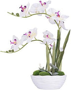 Large Silk Potted Orchid Arrangement in Oval Ribbed Ceramic Pot, White by YSZL