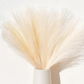 Mandy's 20 Stems Ivory Silk Pampas Grass Bouquet by Mandys
