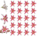 20PCS 6 Inch Large Artificial Lilies Flower Heads with Realistic Stamens, Bulk Silk Fake Lilies for DIY Crafts, Wedding Decor, Cake Decorating, Centerpieces, Home Decor (Light Pink) by SOFTKIDS