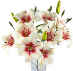 12 Artificial Lily Flowers with 9 Heads Full Bloom Lily & 3 Buds, Long Stem Artificial Stargazer Lilies, Faux Tiger Bouquets for Home Hotel Office Party Decor Table Centerpieces（White Pink by SOFTKIDS