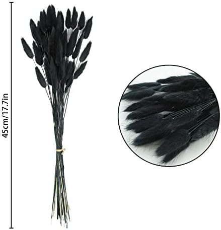 Uieke 17’’ Natural Bunny Tails Dried Flowers, 120 Pcs Dried Lagurus Ovatus, Dried Black Pampas Grass Decor for Farmhouse Flower Arrangements Wedding Home Craft Boho Party Halloween Decorations - Image 3
