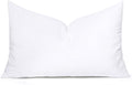MIULEE 13x21 Inch Throw Pillow Insert by MIULEE