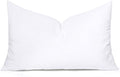 MIULEE 14x24 Inch Throw Pillow Insert by MIULEE