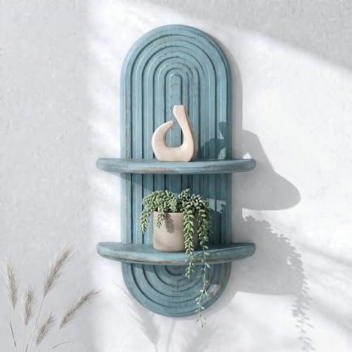 Plant Wall Shelf for Wall Decor: Hanging Plant Shelf for Indoor Plant, Blue by EOSAHR