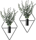 Jexine 2 Pcs Hanging Artificial Planters Wall Decor, Black, Eucalyptus by Jexine
