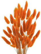 Uieke 17’’ Natural Bunny Tails Dried Flowers, 240 Pcs Dried Lagurus Ovatus, Dried Pampas Grass for Flower Arrangements Wedding Centerpieces Home Boho Baby Shower Party Fall Decorations (Orange) by Uieke