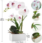 Artificial Real Touch Orchid Flowers with White Ceramic Vase, White - Image 2
