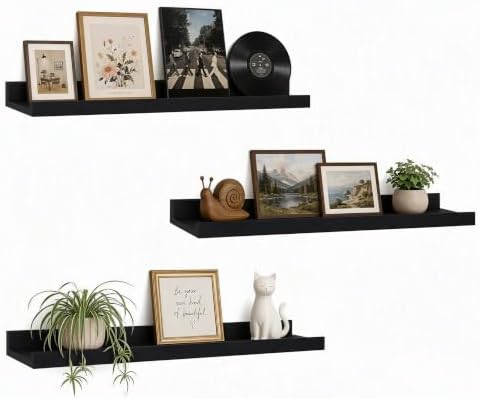 24inch Long Floating Shelves for Wall Decor, 3-Set Shelves with Lip, Black by RicherHouse