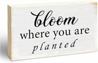 Rustic Wooden Block Sign - Bloom Where You Are Planted - 5"X3" Postive Pine Wood Plaque, Home & Garden Decor, Housewarming Gift For Friends, Desk & Tabletop, Shelf Accessories - A13 by EXW