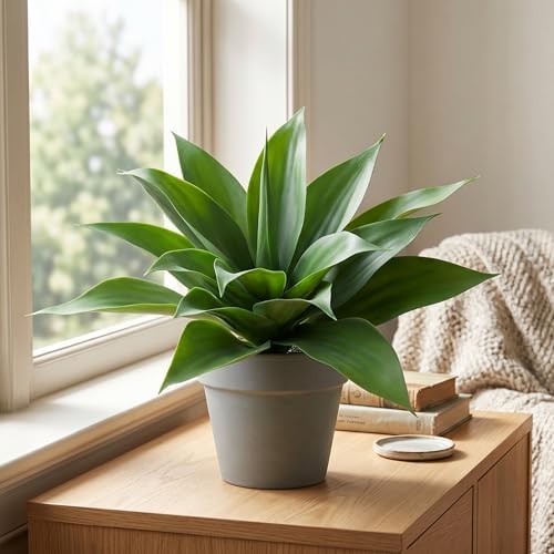 Agave Plant Artificial Faux Agave Plant 16.5In (Light Green) 2Pack - Image 4