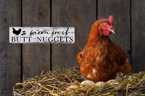 CSWLJS Chicken Coop Accessories Chicken Decor Farm House Decorations For Rustic Home Kitchen Signs Wall Decor Rustic Hen Farmhouse 4x16 In - Image 4