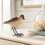 The Bridge Collection Realistic Shorebird Figure - Sandpiper Bird Statue - Image 2