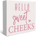 Rustic Bathroom Decor Farmhouse Hello Sweet Cheeks Wooden Sign, Toilet Rules Decoration for Farmhouse Apartment Shelves Toilet Restroom Home Tabletop Desk, Modern Toilet Shelves Accessory (Cute Pink) by Unknown