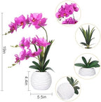 Artificial Large Real Touch Orchid Flowers with White Ceramic Vase, Fuchsia - Image 2