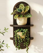 Bamworld Boho Wall Decor Plant Wall Shelf Mid Century Modern Decor Hanging 22in Plant Shelf 2-Tier Wooden Floating Shelves Walnut by Bamworld
