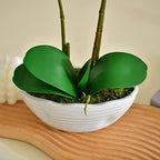 Large Artificial Orchid Arrangement in Oval Ribbed Ceramic Pot, White - Image 3