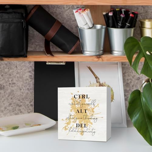 Ctrl Alt Del Office Motivational Gold Wooden Box Sign Desk Decor, Inspirational Decorative Signs for Office and Bedroom, Positive Home Shelf Desk Decoration 5x5 Inch - Image 3