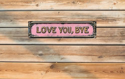 Love You Bye Street Sign Retro Funny Wall Decor Metal Tin Signs Fall Season Horror Theme Inappropriate Humor Bar Home College Dorm Decor 16x4 in - Image 6