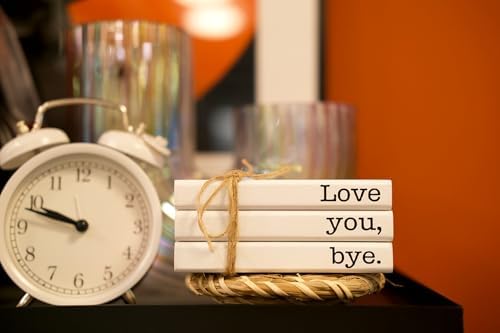 Cute Love You Bye Mini Wooden Faux Books, Express Love and Warm Family Sign for Office Front Door Bathroom Hallway Entryway Shelf Table Corner Decoration - Image 6