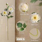 Silk Peonies Artificial Flowers, Champagne, 4PCS, 31.5'' Long Stem - Image 2