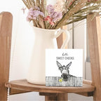 Funny Bathroom Wooden Signs - Rustic Hello Sweet Cheeks Bathroom Decor, Funny Farmhouse Donkey Decor, 6 X 6 Inches - Image 5