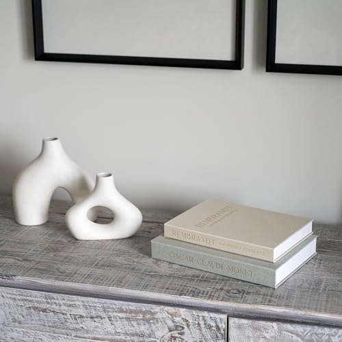 ZICOTO Beautiful Decorative Books Set of 2 for Your Coffee Table & Shelf - Image 2