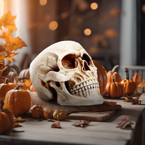 READAEER Halloween Skull Head, Life Size Resin Skull, Large Size Adult Skull Head Model for Home Decoration, Halloween Skull Statue, Human Skull Head Model (White) - Image 5