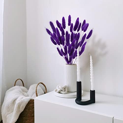 Uieke 17’’ Natural Bunny Tails Dried Flowers, 50 Pcs Dried Lagurus Ovatus, Dried Purple Pampas Grass Decor for Farmhouse Flower Arrangements Wedding Home Craft Boho Party Decorations - Image 7