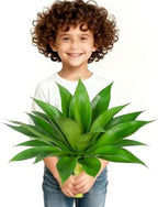 Artificial Agave Plant, Green, 17.8", 1Pcs by ENALGRE