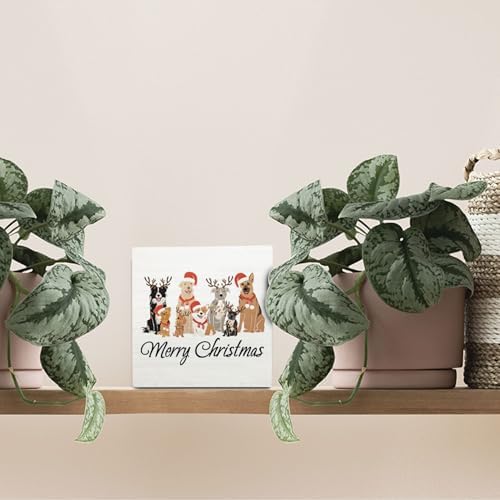 Merry Christmas Dog Wooden Box Sign Desk Decor, Dog Lover Mom Dad Gifts, Christmas Holiday Puppy Wood Block Sign for Home Office Desk Table Shelf Wall Decorations, 5x5 Inch - Image 3