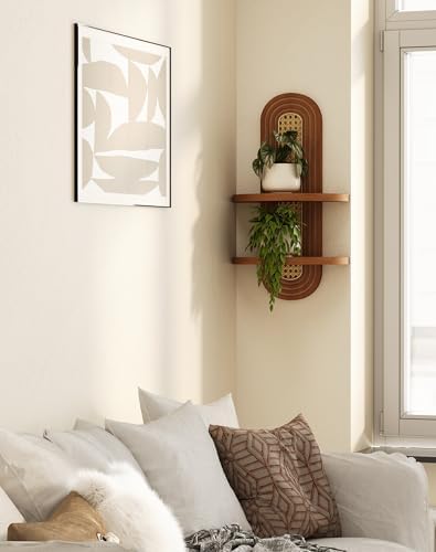 Floating Shelves for Wall,Boho Home Wall Decor,2-Tier Rattan Plant Shelf,Mid Century Hanging Small Decorative Shelf,Natural Wood Shelves for Living Room,Bedroom,House,Office,1-Pack (Walnut) - Image 4