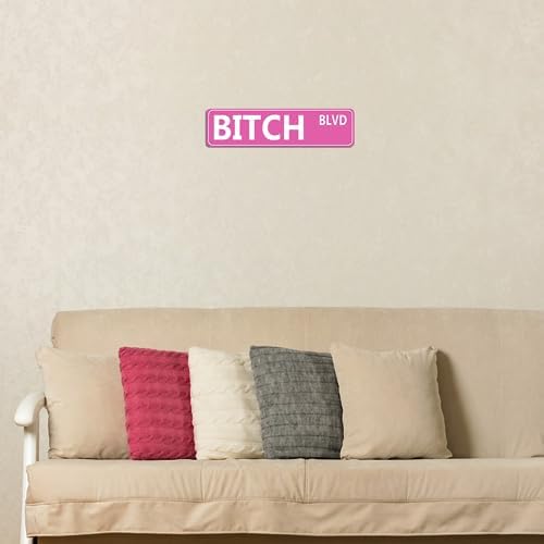 Retro Pink Tin Metal Sign - 'BITCH BLVD' - Bold Statement Decor for Home, Bar, or Dorm - 16x4 Inches - Unique Gift Idea for Friends(B71) - Image 6